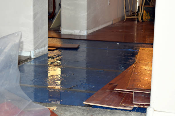 Professional Basement Water Removal technician working in Holtsville, NY